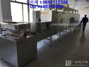 食品解冻设备 技术解析、微波解冻优势与市场价格考量